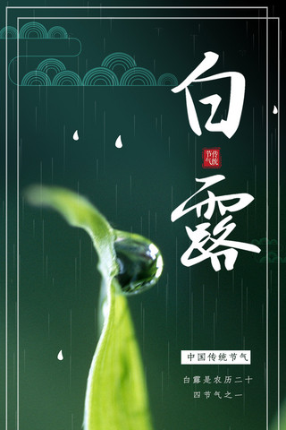 白露绿色创意简约节气宣传手机海报