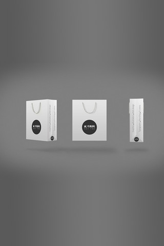 包装盒设计模版海报模板_简洁大气纸袋样机模版
