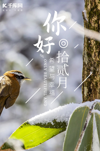 季节冬天海报模板_十二月你好白色写实简约风冬天12月大自然冬季海报