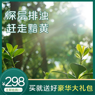 小清新边框绿色海报模板_护肤品森林植物绿色清新主图