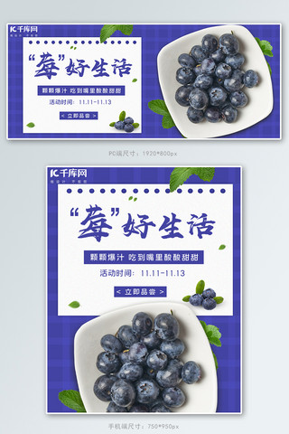 双十一水果蓝莓蓝色简约电商banner