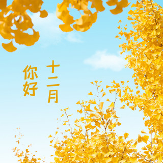 美日海报模板_十二月你好银杏黄色唯美日系风朋友圈封面