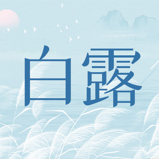 白露芦苇蓝色简约公众号次图