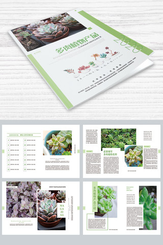 简约小清新产品海报模板_多肉植物产品绿色简约画册