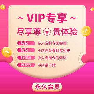 专享海报模板_VIP专享永久会员特权玫红简约风电商直通车主图