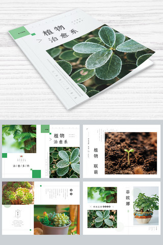 植物多肉海报模板_植物治愈系绿色简约画册