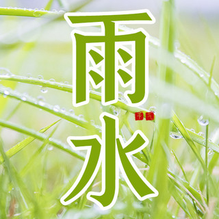 24节气雨水绿色简约风公众号次图