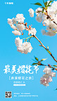 樱花季最美樱花节蓝色摄影写实手机海报