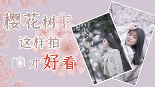 樱花拍照樱花粉色摄影图横版视频封面