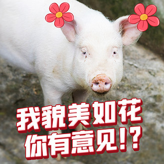 我貌美如花你有意见彩色卡通表情包