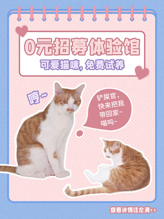 铲屎官养猫萌宠知识科普粉蓝色小清新小红书封面配图