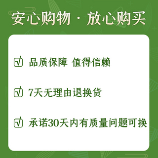 中国程序员日海报模板_端午节入会福利粽子绿色中国风直通车