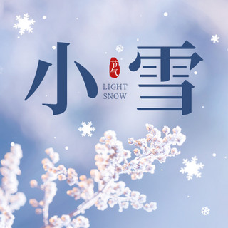 小雪公众号次图海报模板_小雪冬天落霜植物蓝白色简约公众号次图