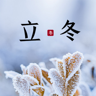 小寒公众号海报模板_立冬小雪大雪小寒公众号次图