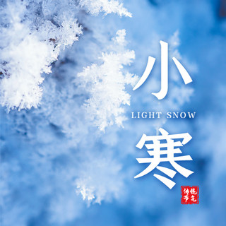 大寒节气图海报模板_大寒节气雪花雪地冰晶蓝色唯美公众号次图