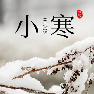 小寒雪 树枝白色简约公众号次图