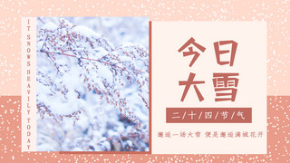 网页横版海报模板_大雪雪景杏色中国风横版海报