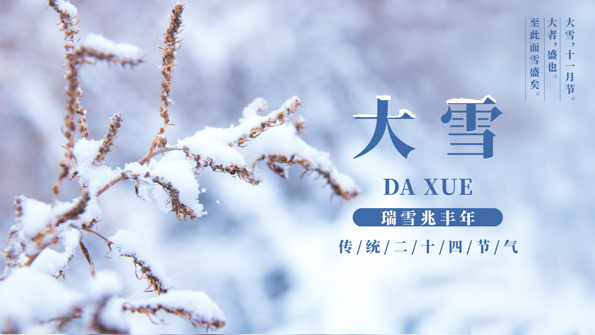 大雪雪草白色简约横版海报图片