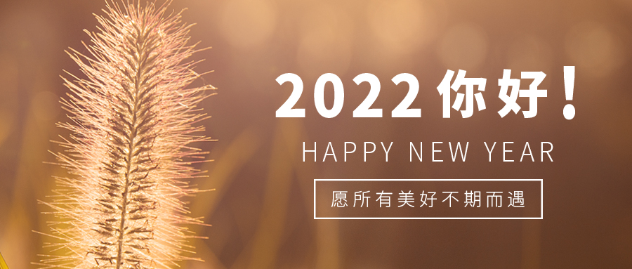 你好2022狗尾草黄简约公众号首图图片