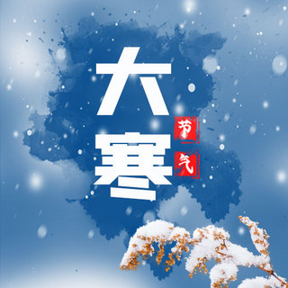 大寒雪花蓝色简约公众号次图