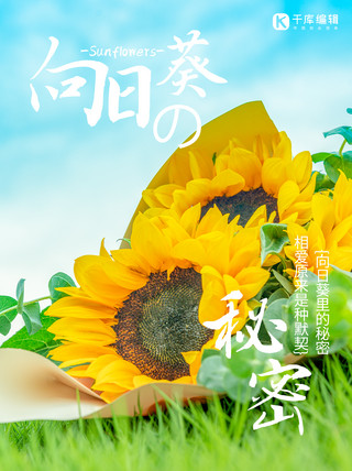 黄色绿色花朵海报模板_PLOG夏向日葵黄色、绿色、蓝色清新壁纸