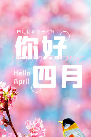 4月你好海报海报模板_你好四月 4月你好樱花相思鸟春天粉色简约全屏海报