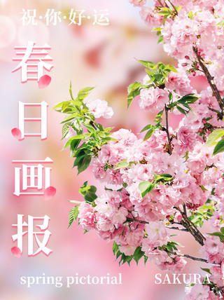 樱花花瓣粉色海报模板_春日画报plog祝你好运粉色简约小红书
