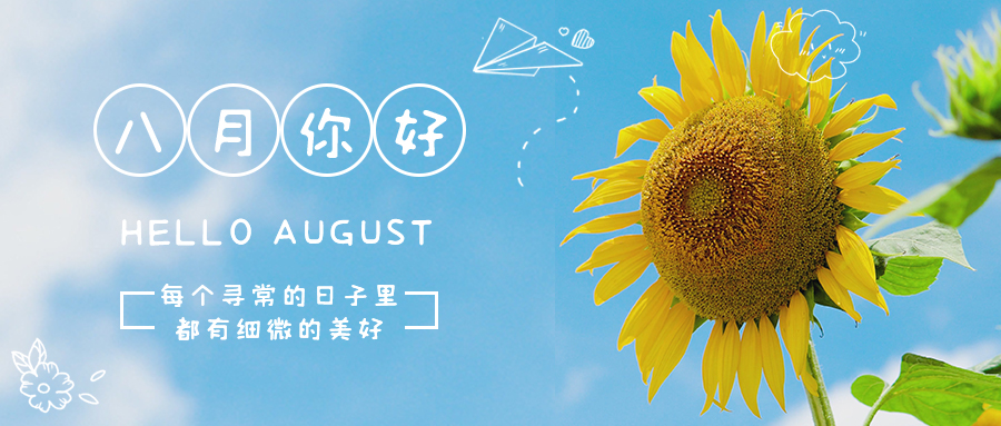 八月你好向日葵和天空蓝色小清新公众号首图图片