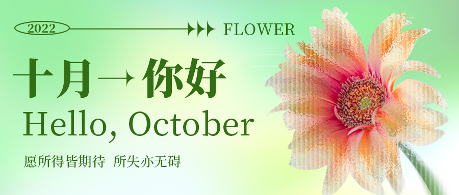 十月你好 10月问候雏菊花朵黄绿色小清新公众号首图图片