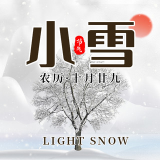 小雪公众号次图海报模板_二十四节气小雪雪花灰白色创意公众号次图