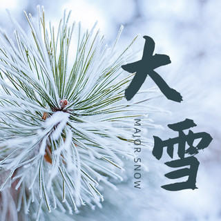 大雪 雪花绿色摄影图公众号次图