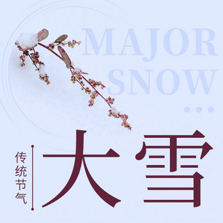 大雪传统海报模板_大雪传统节气彩色简约公众号次图