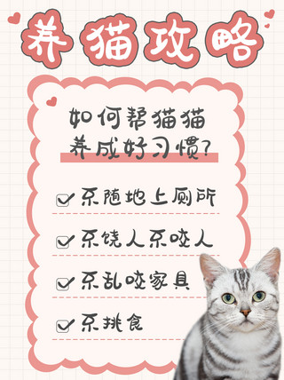 萌宠猫猫粉色简约小清新小红书