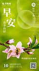 早安春季桃花绿色摄影手机海报