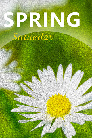 春暖花开等你来花朵 春天 白色 绿色油画海报