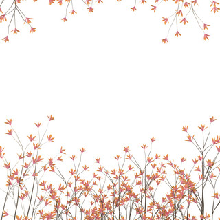 小清新植物边框海报模板_c4d立体红色小花免费下载