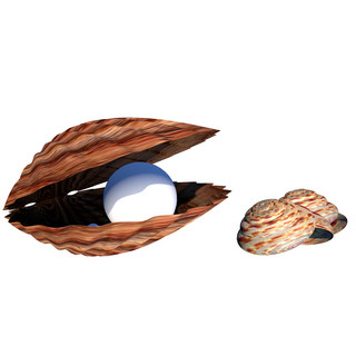 珍珠泪光海报模板_C4D贝壳珍珠蚌海螺