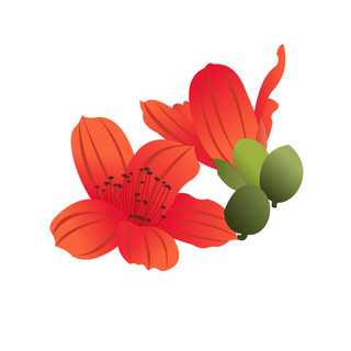 事物木棉花海报模板_手绘木棉花元素之卡通红色植物花