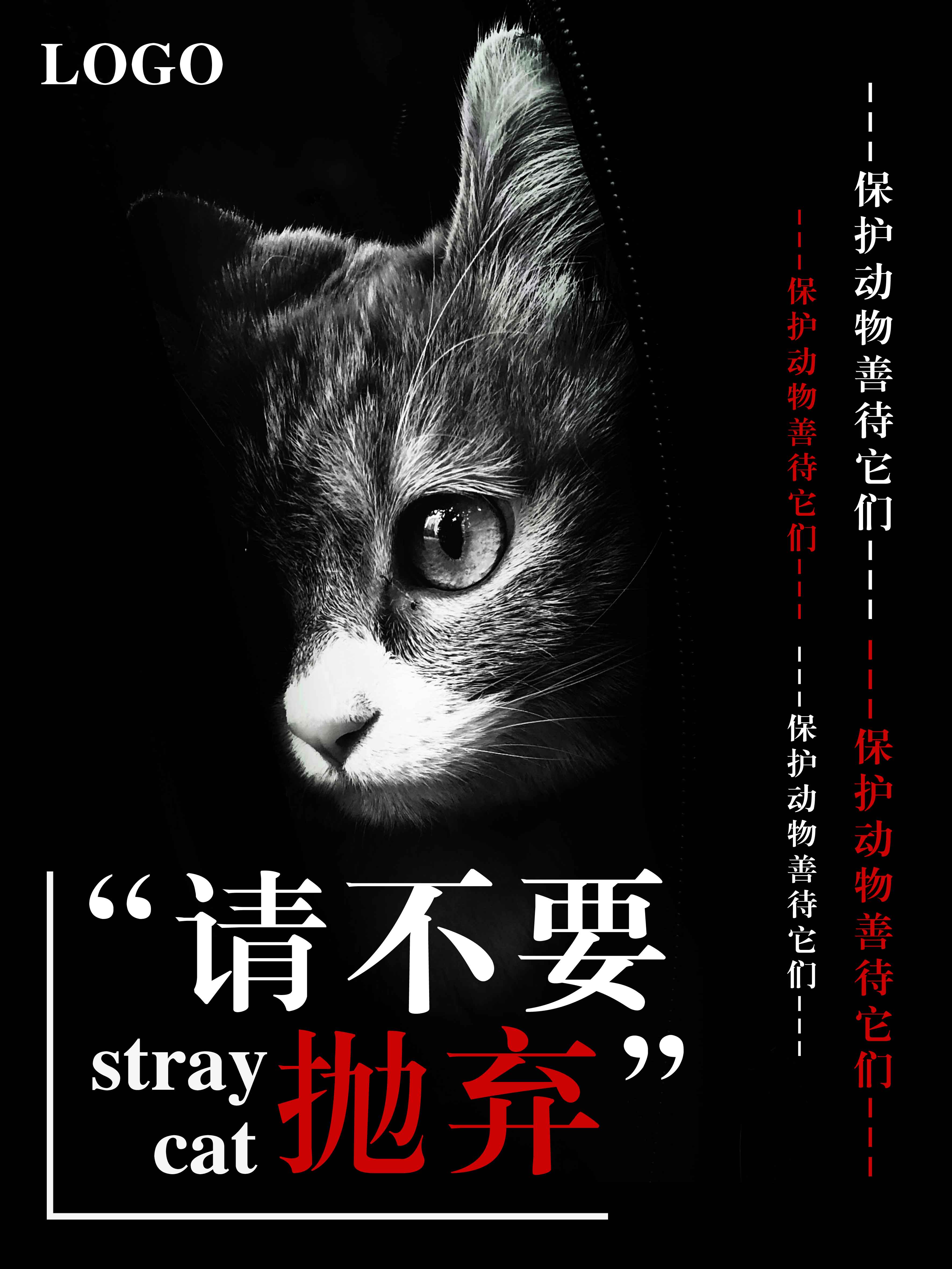 简约流浪猫保护动物海报图片