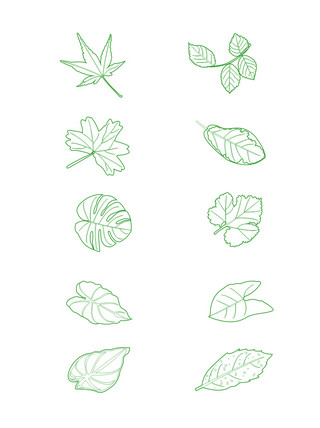 小清新植物元素之树叶装饰图案手稿