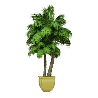 植物热带海报模板_花盆椰子树盆栽热带