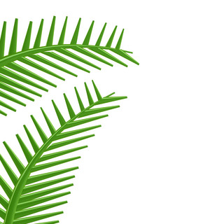 雨珠椰子海报模板_椰子叶绿色 树叶热带植物