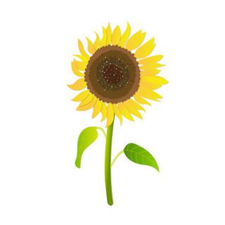 手绘小元素海报模板_手绘向日葵元素之小清新黄色太阳花