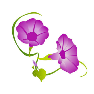 紫红色花卉海报模板_手绘喇叭花元素之紫红色卡通牵牛花