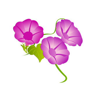 盛开的牵牛花海报模板_手绘喇叭花元素之紫红色卡通牵牛花