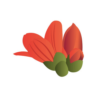 事物木棉花海报模板_手绘木棉花元素之卡通红色植物花