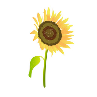 手绘小元素海报模板_手绘向日葵元素之小清新黄色太阳花