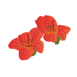 红色手绘植物海报模板_手绘木棉花元素之卡通红色植物花