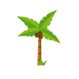 手绘植物椰子树可商用元素