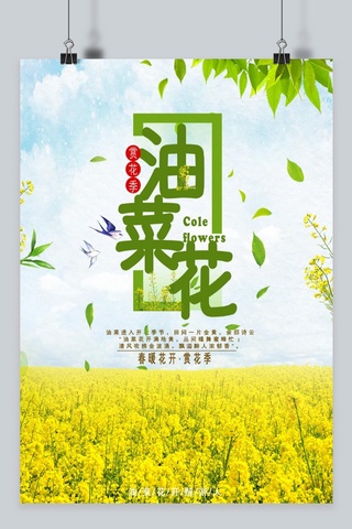 春季油菜花海报模板_美丽油菜花宣传促销海报模板